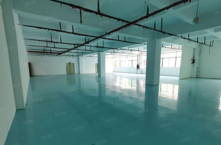 西乡650平全新装修厂房出租可以分租300和350平