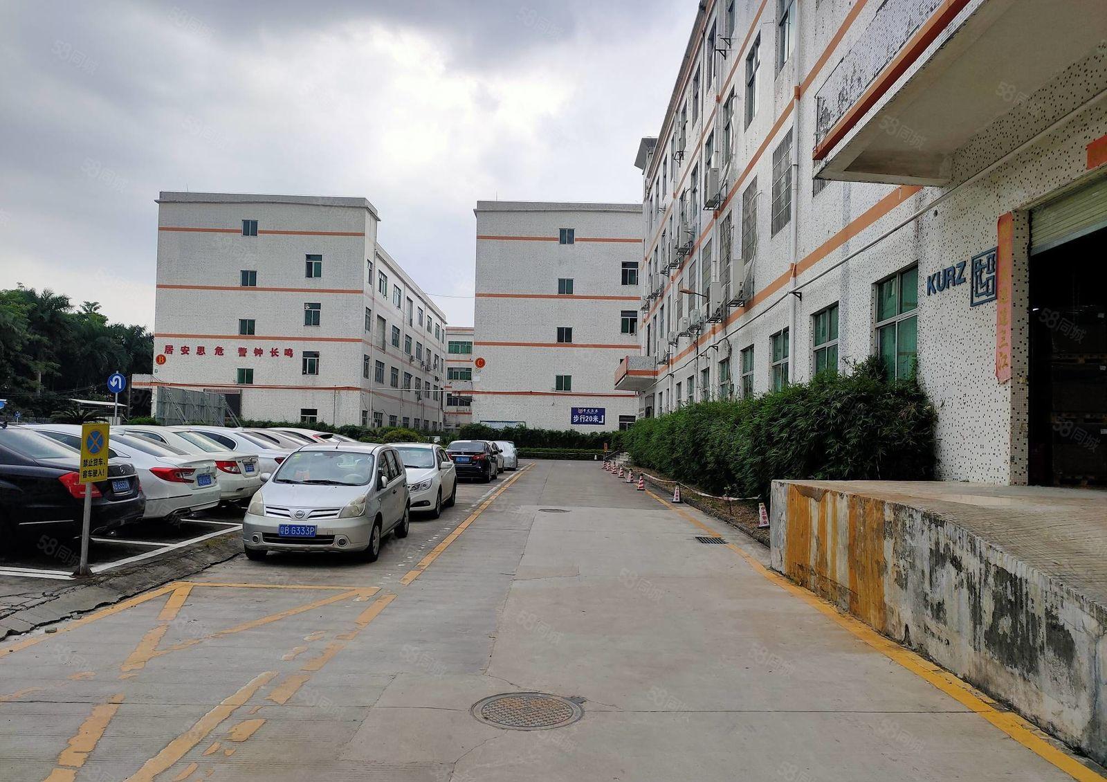 石岩红本精装修1300平厂房出租可分租工业园低价仓库出租