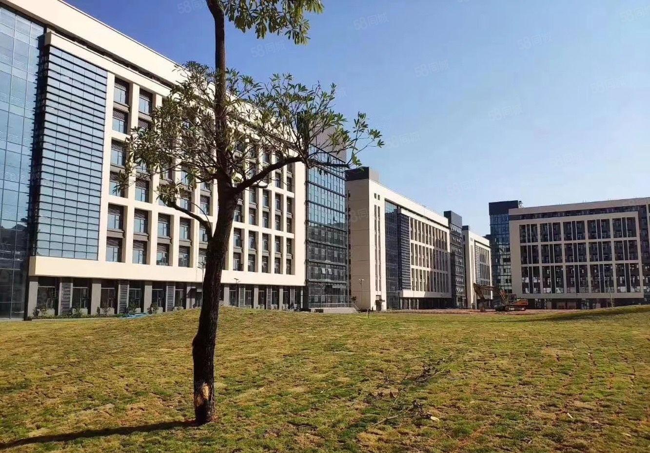 福永富桥新出原房东独门独院20000平方厂房招租