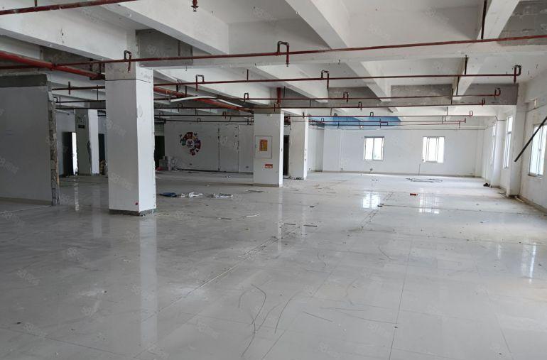 西乡黄田原房东独门独院楼上整层2450平，可分租