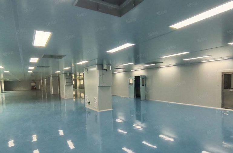 福永桥头育才工业区800平精装修办公室无尘车间厂房出租招租