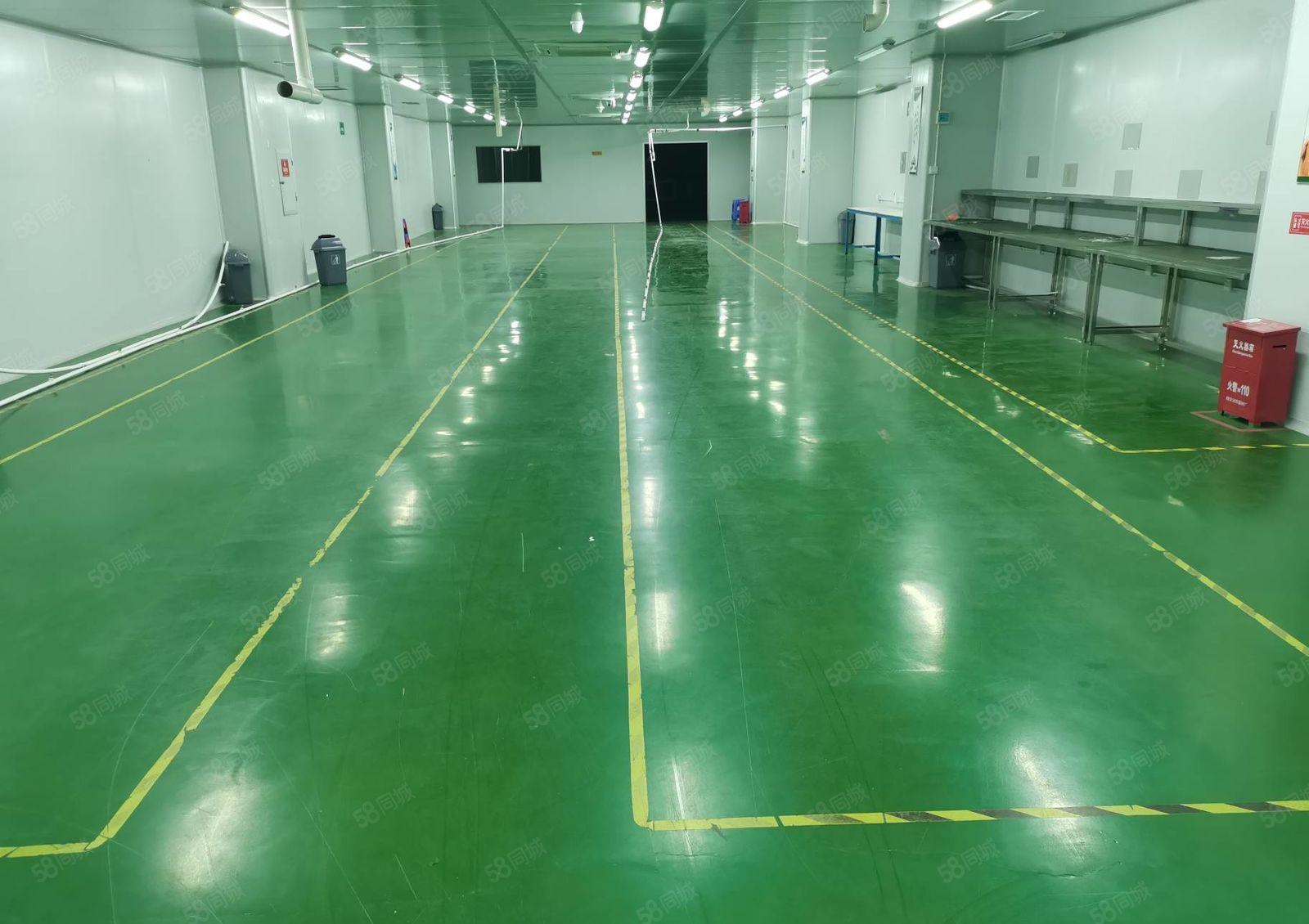 沙井原房东500平至3000平低价仓库厂房出租，带无尘车间