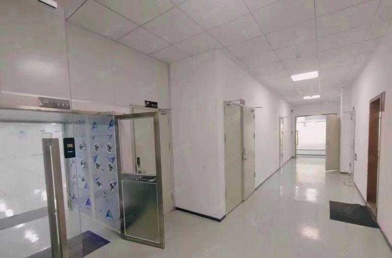 沙井新出无尘车间800方装修保留完整