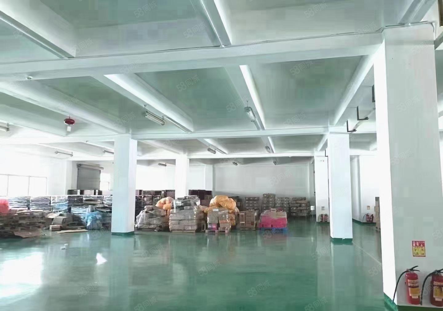 沙井共和工业区独门独院厂房7200平可分租停车位充足