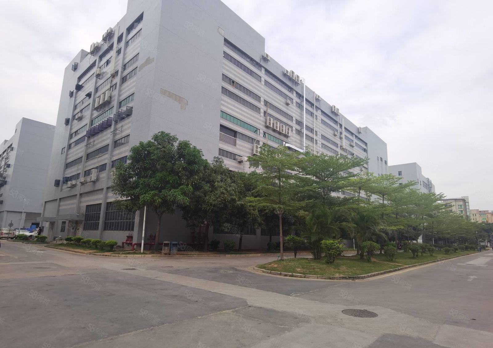 沙井原房东厂房出租沙三工业园600平米分租办公室电商仓库