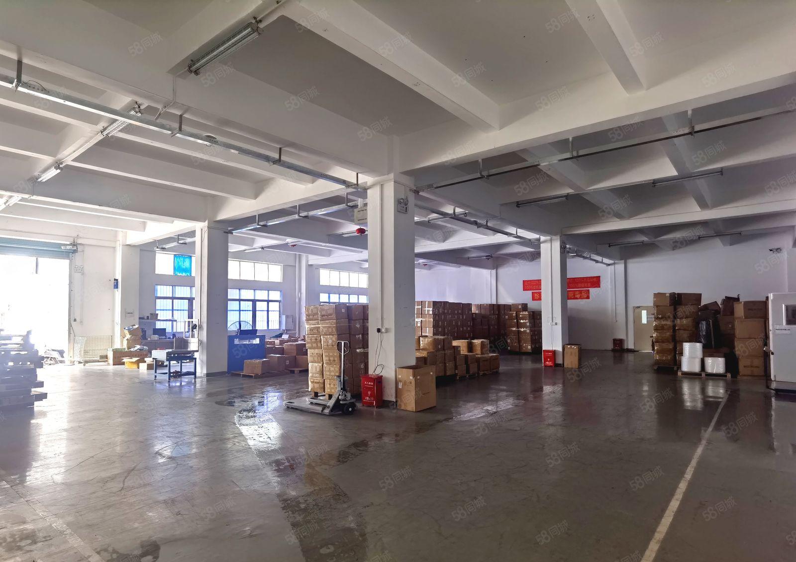 福永凤凰一楼1200平红本厂房出租，原房东出租面积实在