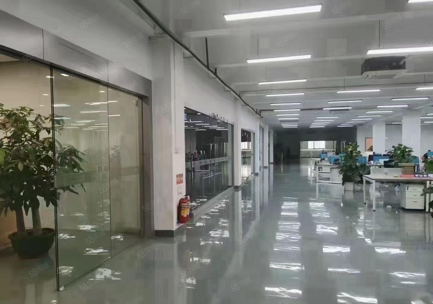 沙井地铁站壆岗科创园3000平米厂房出租大小面积分租仓库办公