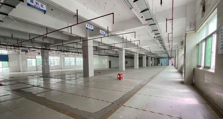 宝安松岗工业园1000平方可分租200平方起低价仓库厂房出租