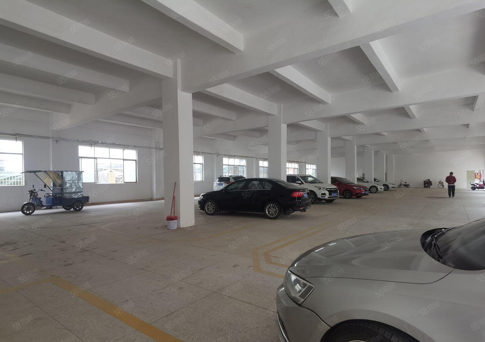 松岗罗田工业园原房东独门独院厂房5500平空地超大，可分租