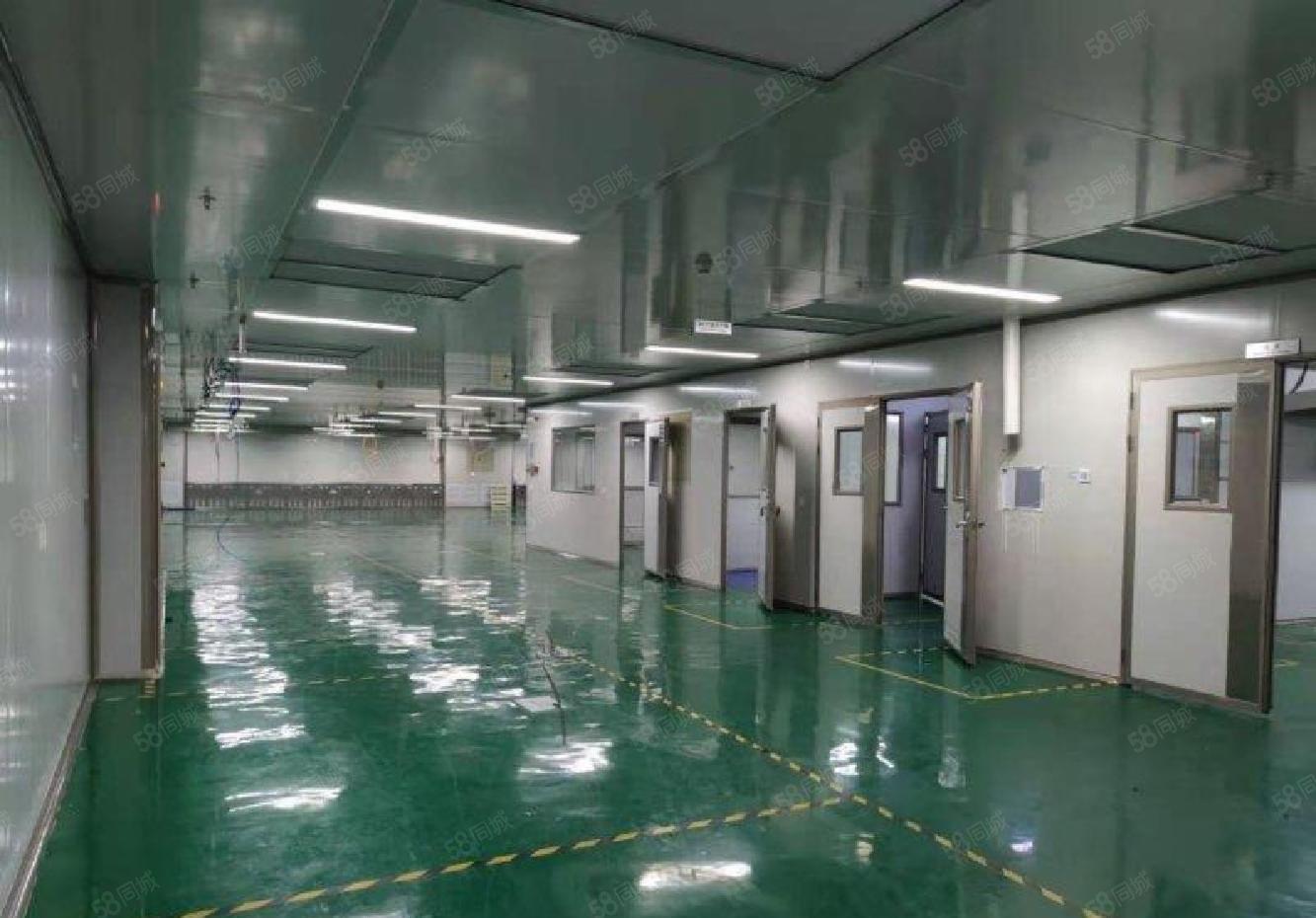 福永地铁口2000平带装修厂房出租免费无尘车间让大小分租独院