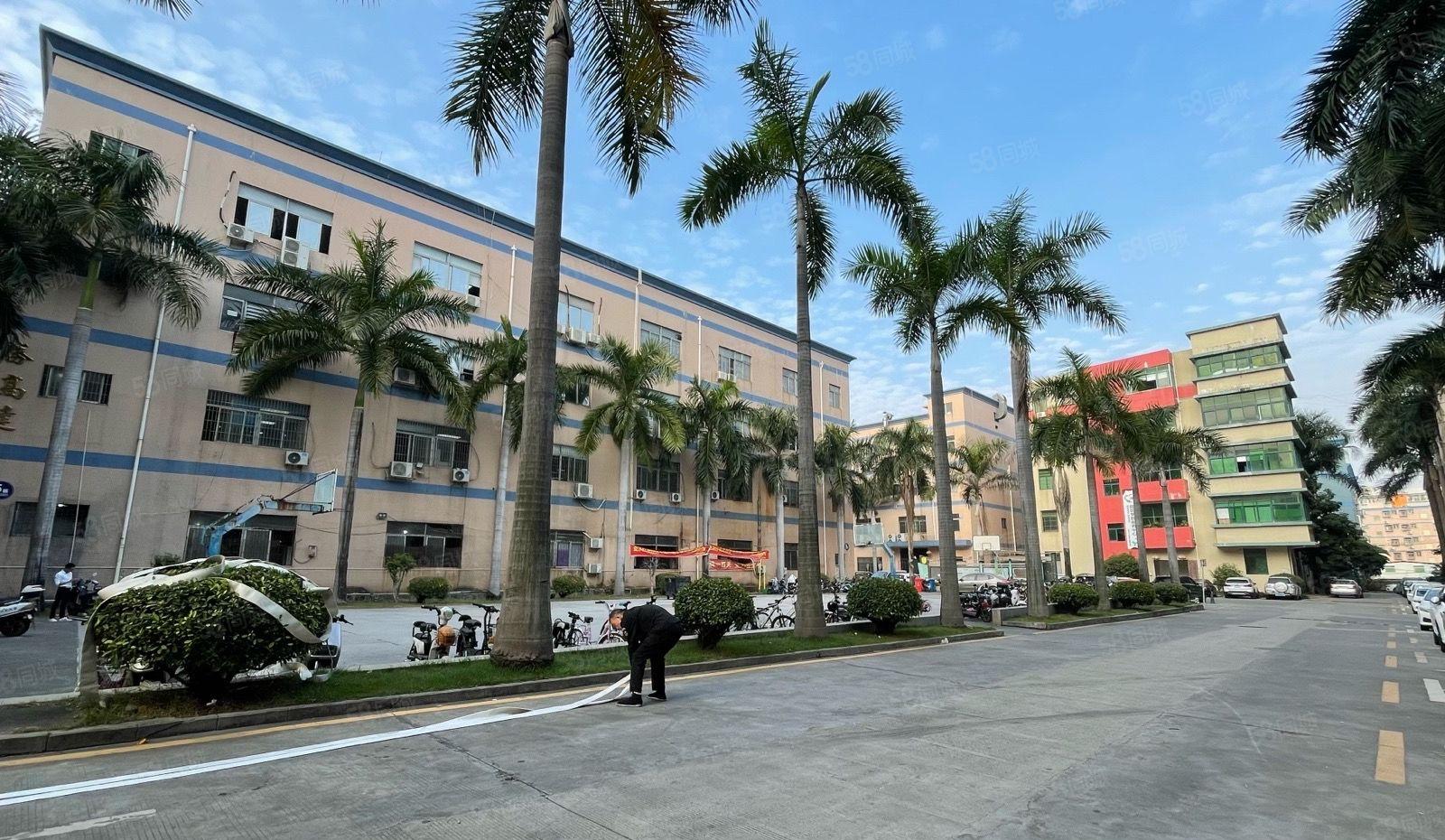 石岩原房东工业园2000平方可分租500平方起仓库厂房出租