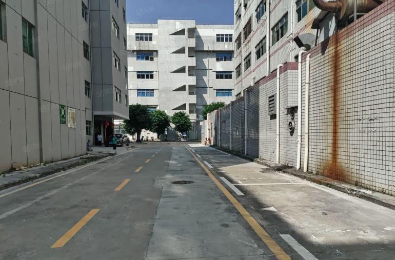 西乡107国道边12500平米整栋厂房出租可分租可独院