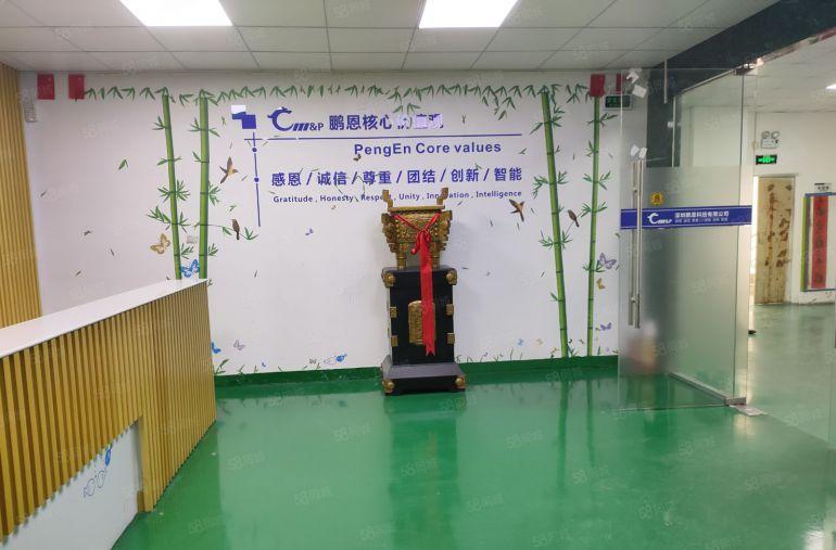 沙井107国道边厂房120平260平380平带装修