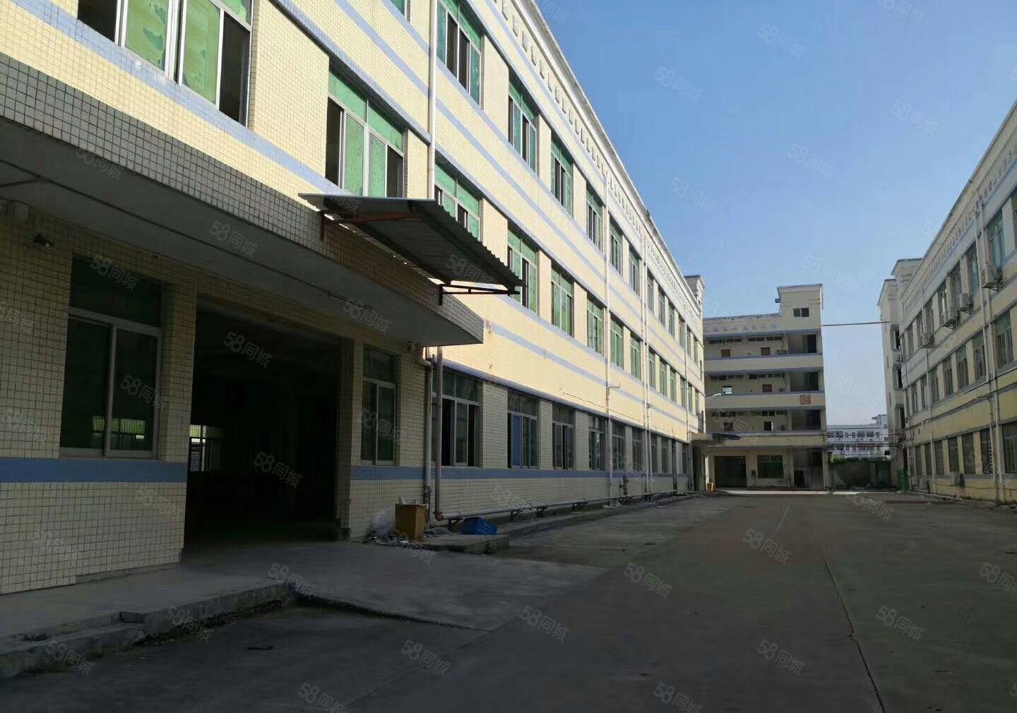 松岗罗田第三工业区独院厂房1500平带精装修厂房出租可办公