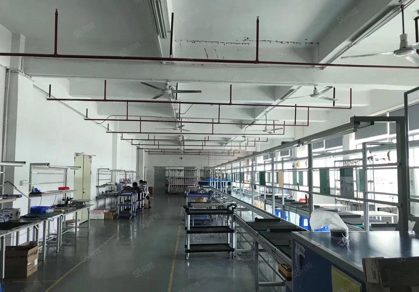 沙井后亭地铁站新出原房东独门独院8000平方厂房招租