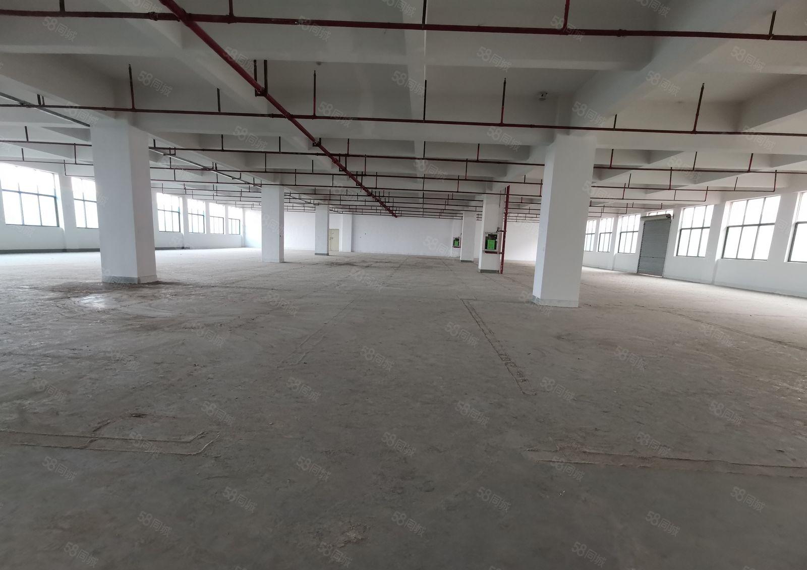 宝安黄田大型高新区1800平米厂房 半层带消防喷淋