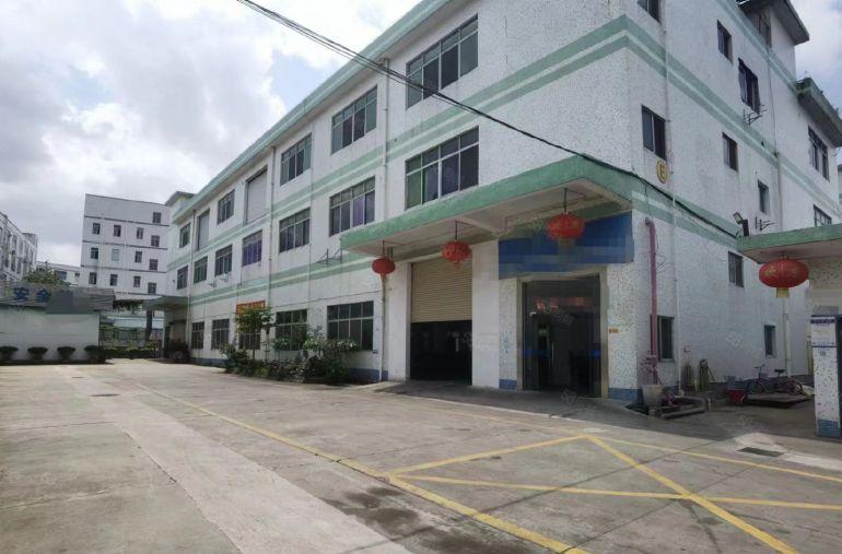 房东直租（松岗3层独院6300平，1000平起分，公摊小）