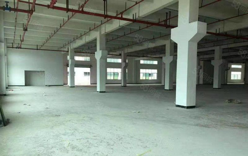 福永地铁口附近原房东红本花园式厂房28000招租合同12年