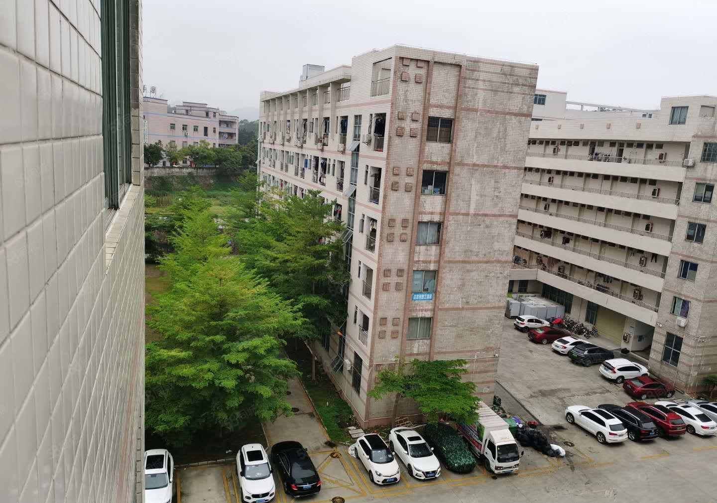 松岗大田洋工业区原房东2楼3楼厂房仓库出租300平分租