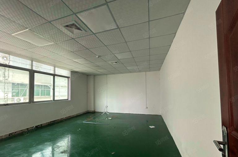 新安600平厂房出租仓库出租可分租低价出租实际面积无公摊