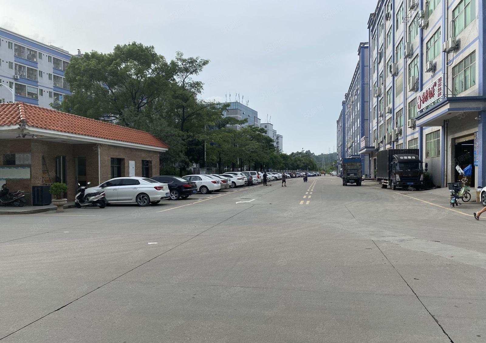 石岩石龙仔红本厂房2万平大小可分组独院厂房可办环评交通便