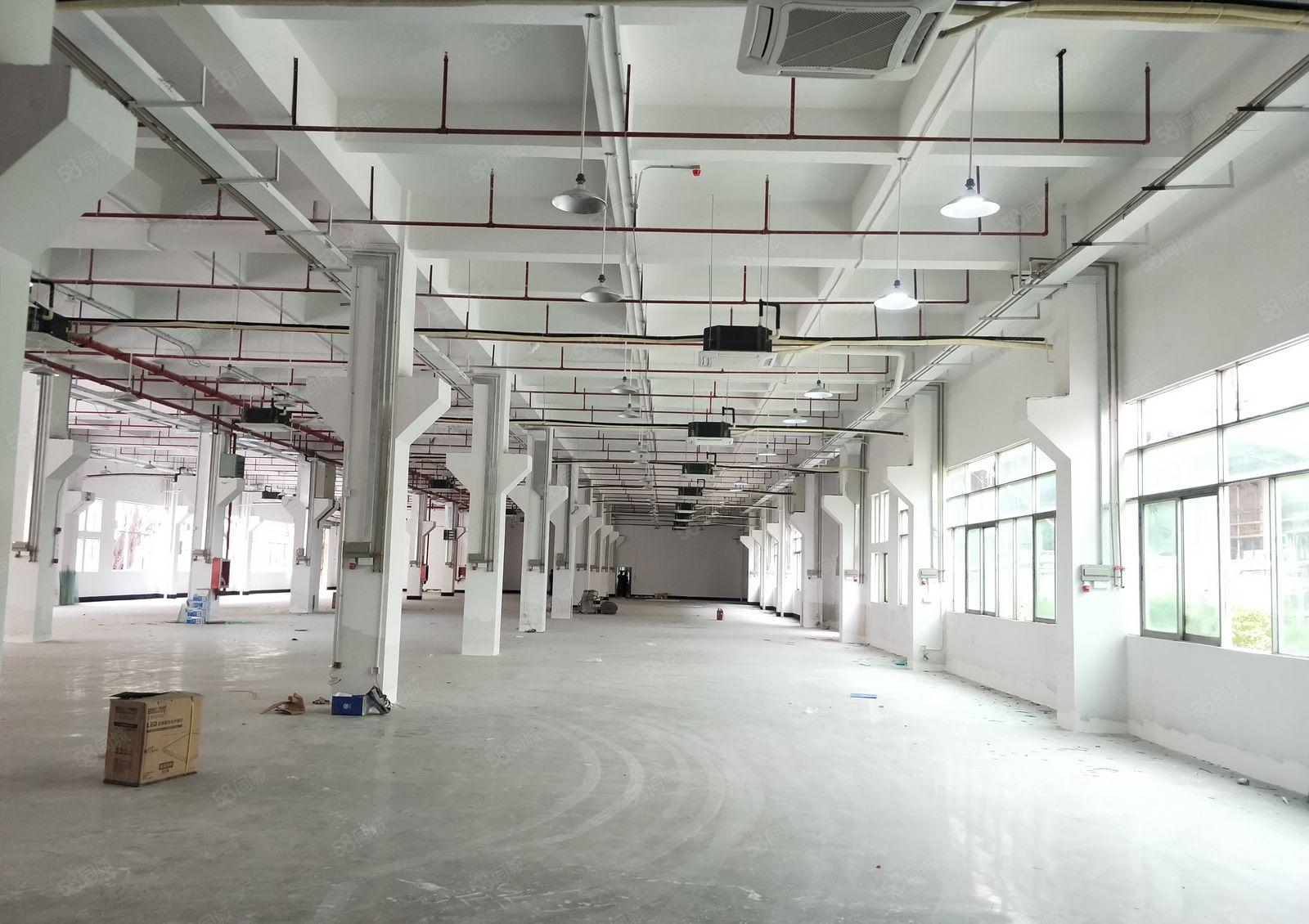 福永原房东一楼层高六米整层1500平实际面积出租能进出拖头