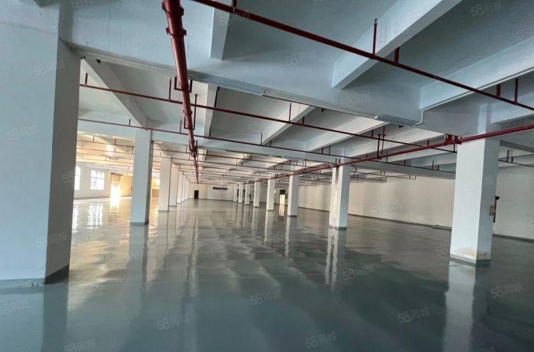 松岗107国道 原房东整栋厂房2000平方 500平起租