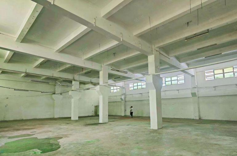 高6米33元每平一楼1000平500平起租大园区货车出入无优