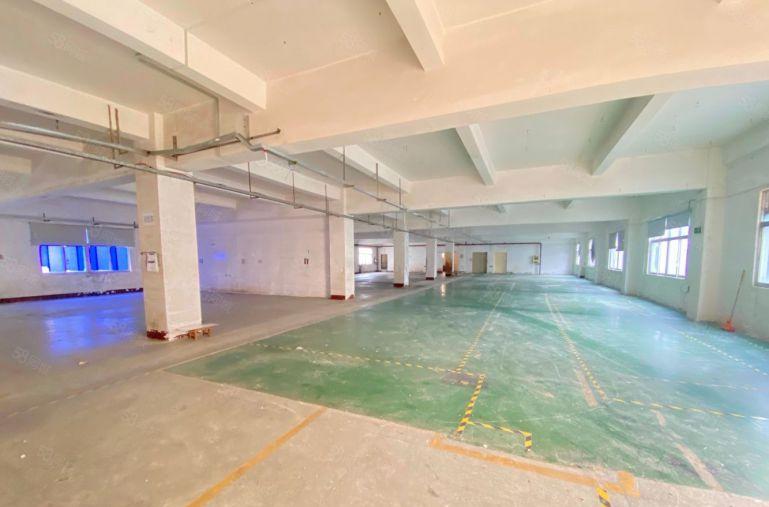 机场旁原房东独门独院4000平厂房低价出租仓库出租大小可分租