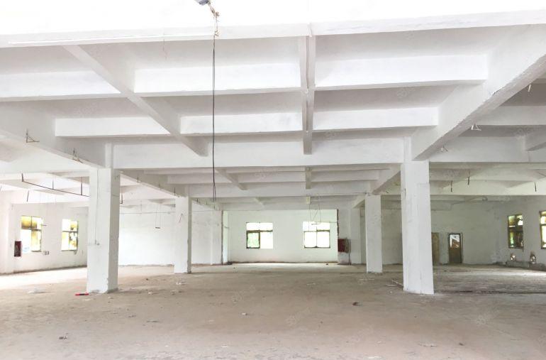 宝安塘下涌实际面积独院厂房出租3600平，高5米，可整租可分