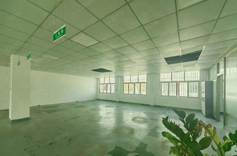 松岗大田洋独院2层，厂房出租3000平米一手房东高6米可分租