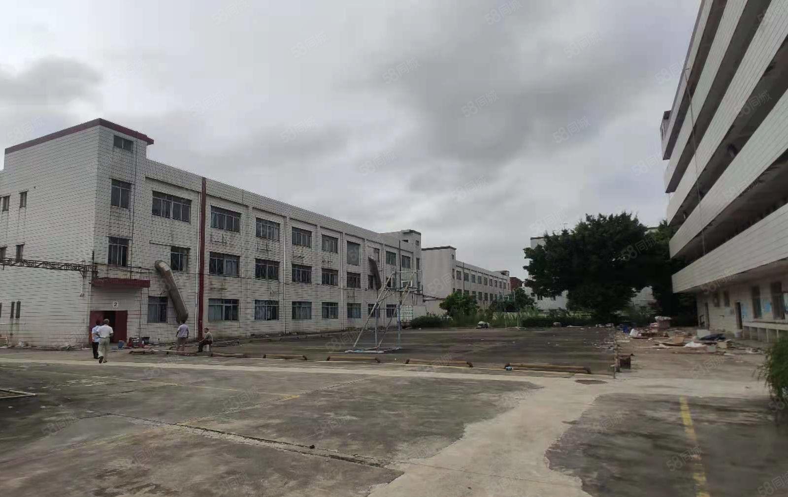 松岗罗田双高速出口附近一手房东红本独院厂房4万平大小分租