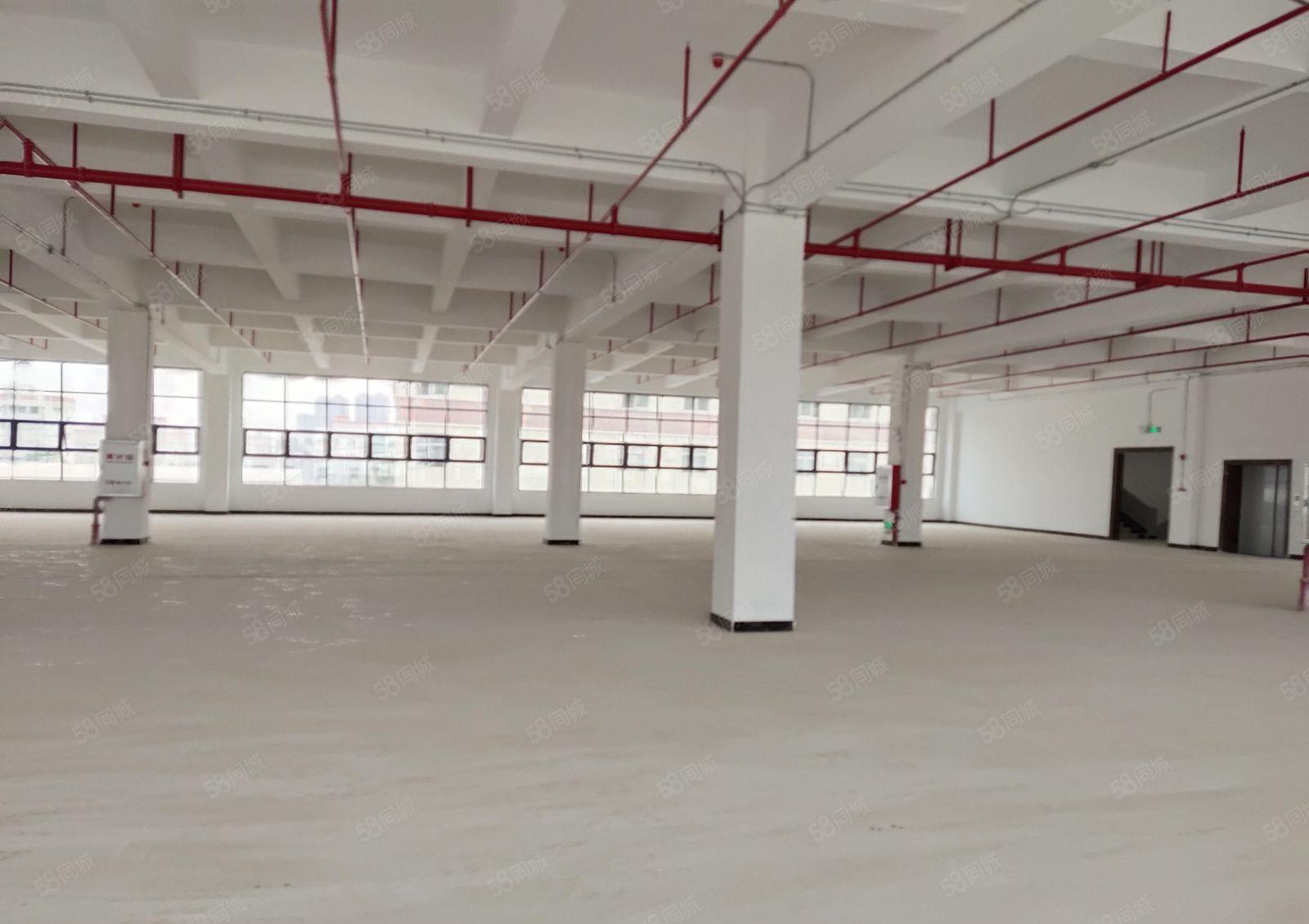 石岩地铁口附近原房东红本6000平红本厂房出租精装大小可分