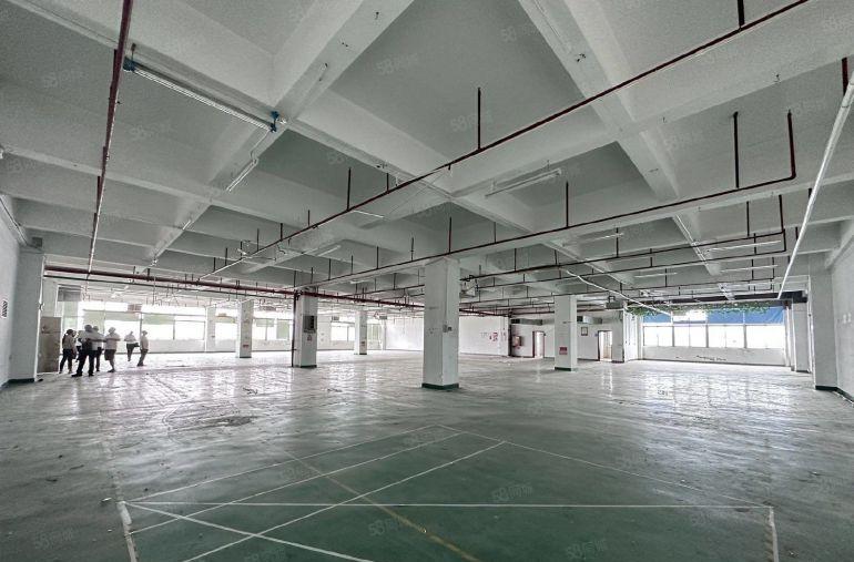 20元起石岩1000平楼上现成精装修厂房出租仓库出租大小分租