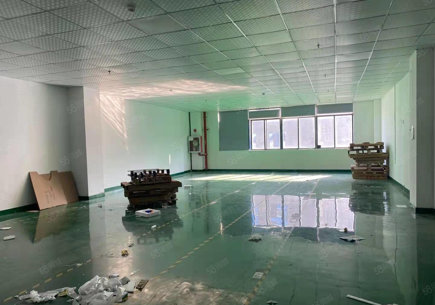 西乡桃源居附近大型园区新空出原房东两层带精装修3400平厂房