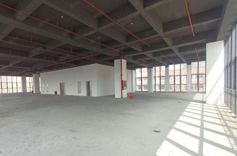 福永新型厂房国道旁1500平全新标准厂房高新补贴装修