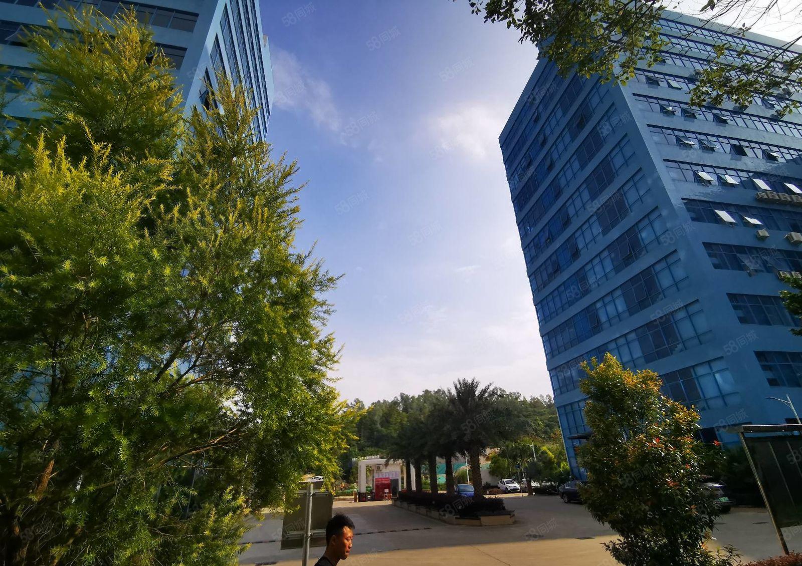 宝安石岩大型工业区原房东红本实际面积2000平厂房出租