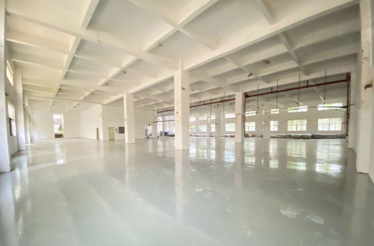 松岗江边第三工业区新出一楼2580平可分租全新地坪漆带办公室