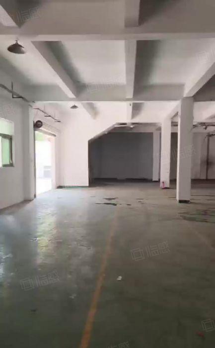 松岗罗田社区新空出独门独院1到3层3000平方，带红本厂房！