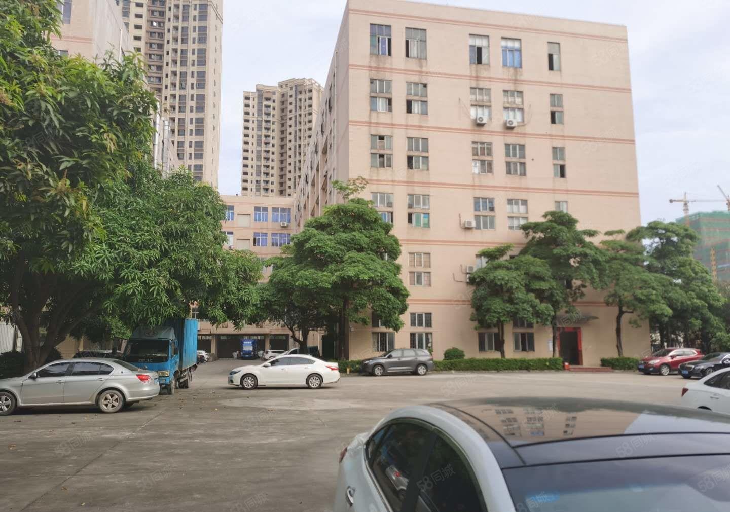 松岗新出1000平至5000平方一二楼厂房仓库独院大小可分租