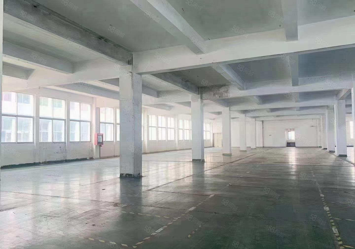 石岩工业园区精装修2000平厂房出租仓库生产原房东可分租整租