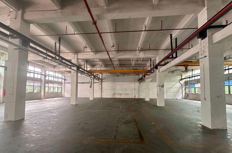 沙井共和工业区一楼2000平二楼2000平带行车3台实际面积