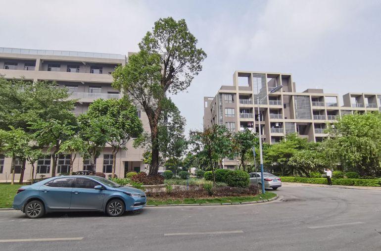 宝安西乡村委签合同.实际面积出租 生产办公电商科研展厅急租