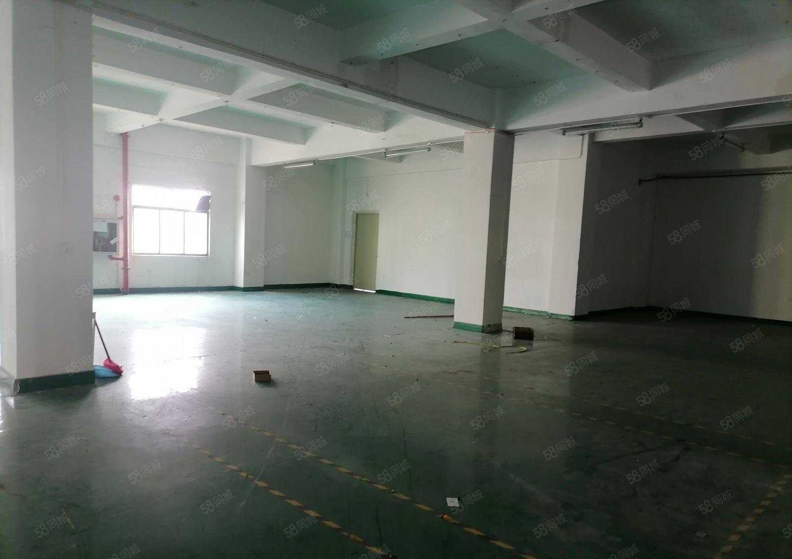 西乡固戍大型工业区村委厂房带精装修1000平出租