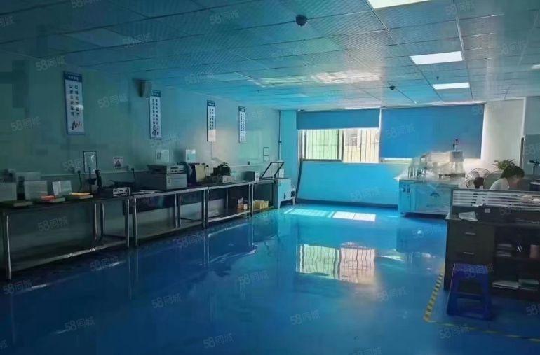 沙井新桥街道工业区楼上1500平厂房出租带现成装修可大小分租