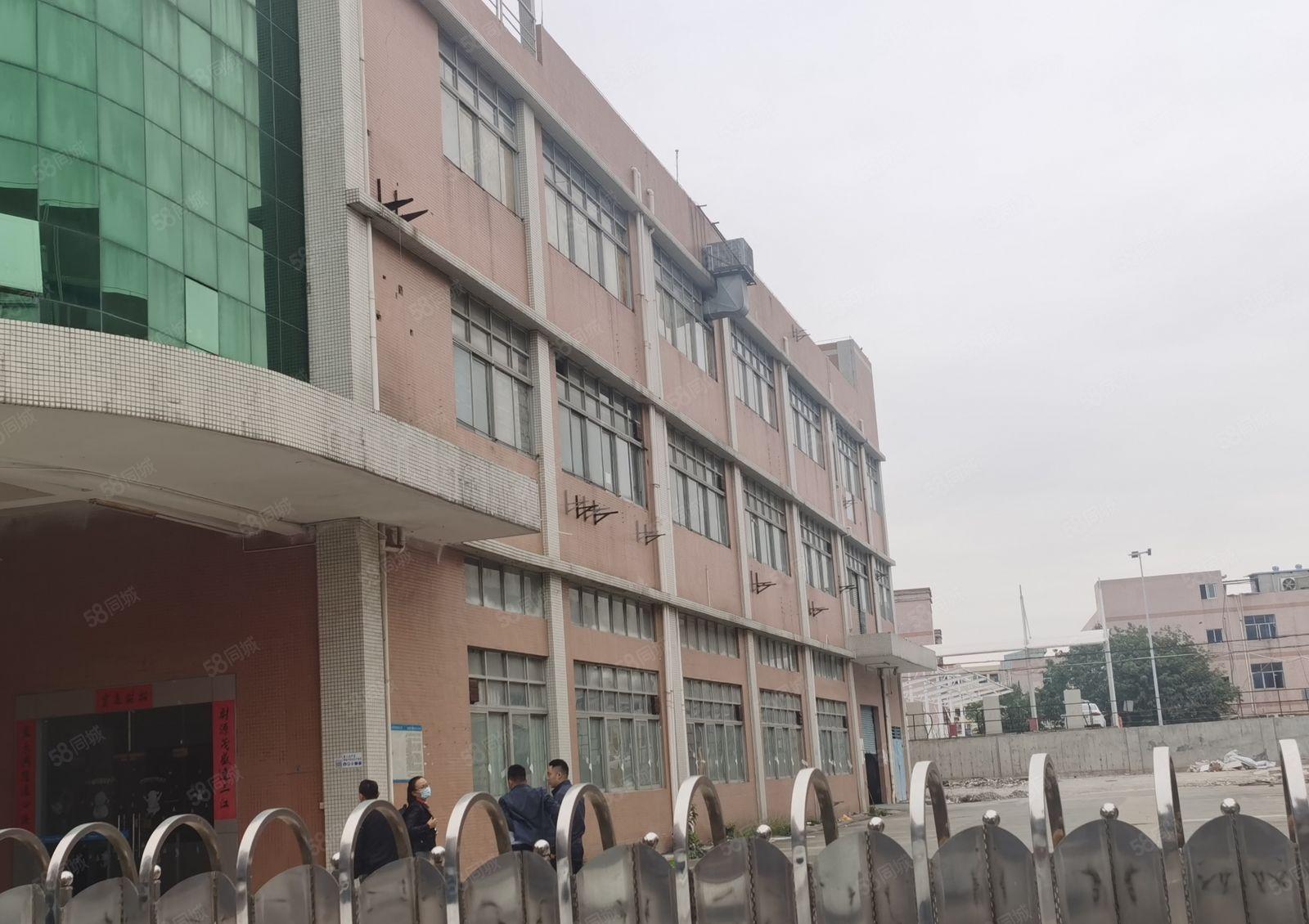 沙井原房东独院厂房出租分租精装修1000平米仓库电商办公室