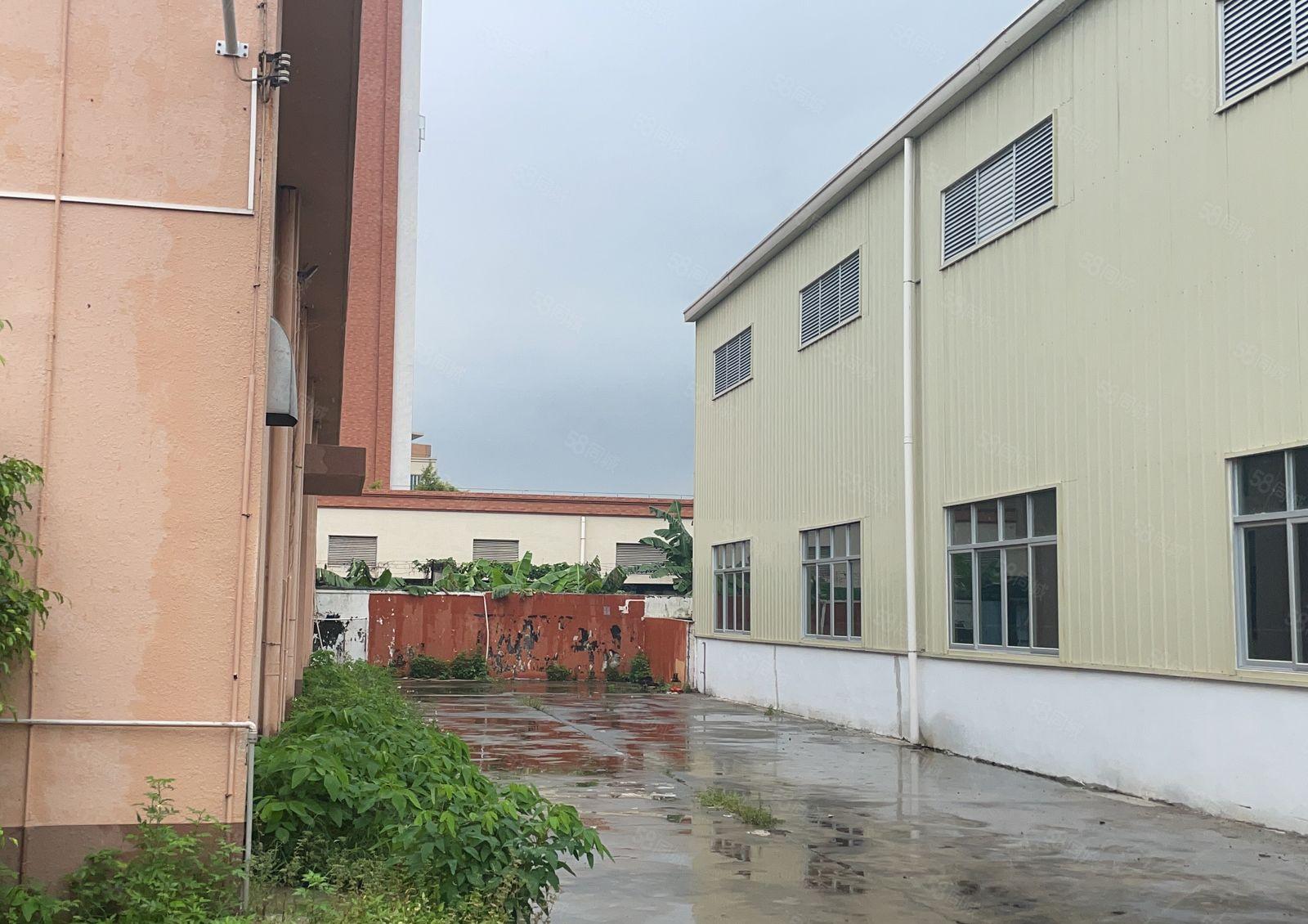 松岗燕川新出单一层独院厂房一楼4500平方，500起租