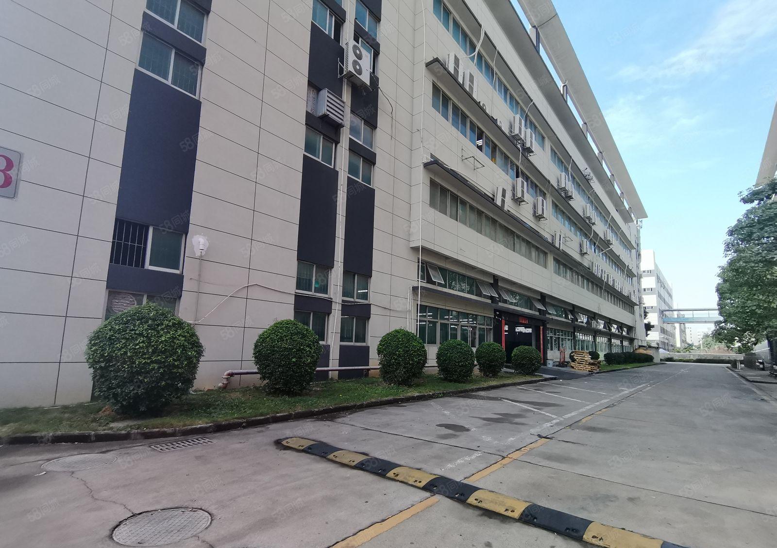 （出租）福永原房东工业园区精装修900平厂房出租红本