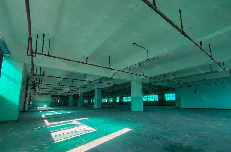 石岩地铁口旁原房东重工业厂房5000平方出租可分租可办环评