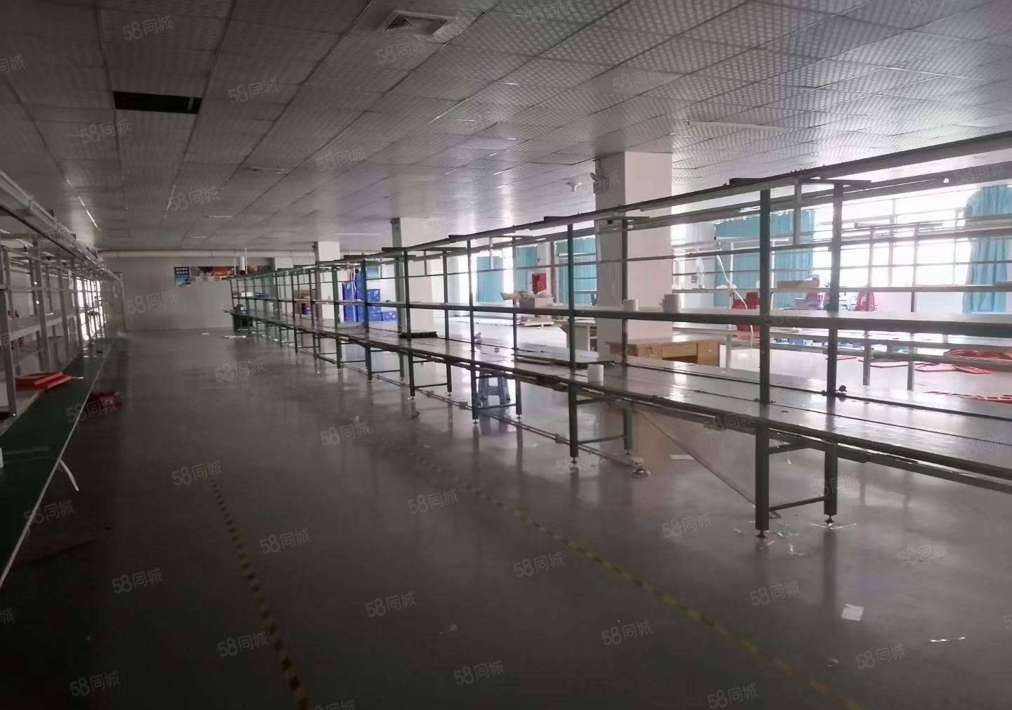 大型园区标准厂房带无尘车间1500平出租